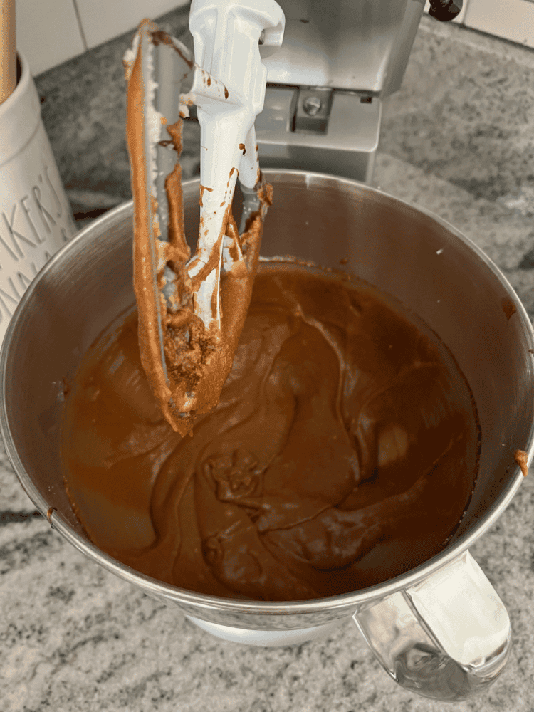 Gingerbread Cookie Dough