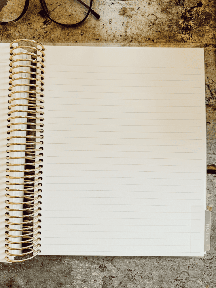 Erin Condren LifePlanner