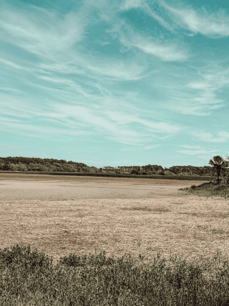 Beautiful Views at Pinckney Island