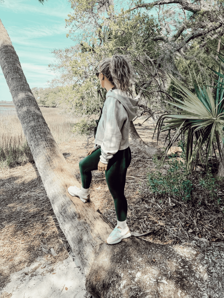 Exploring Pinckney Island