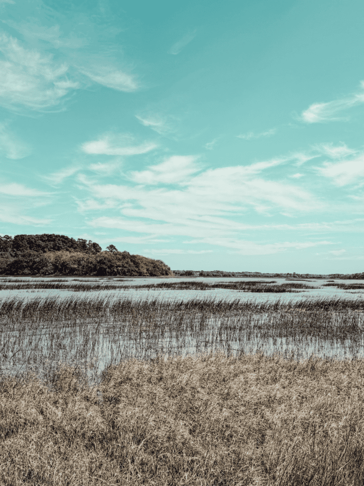 Hiking Pinckney Island