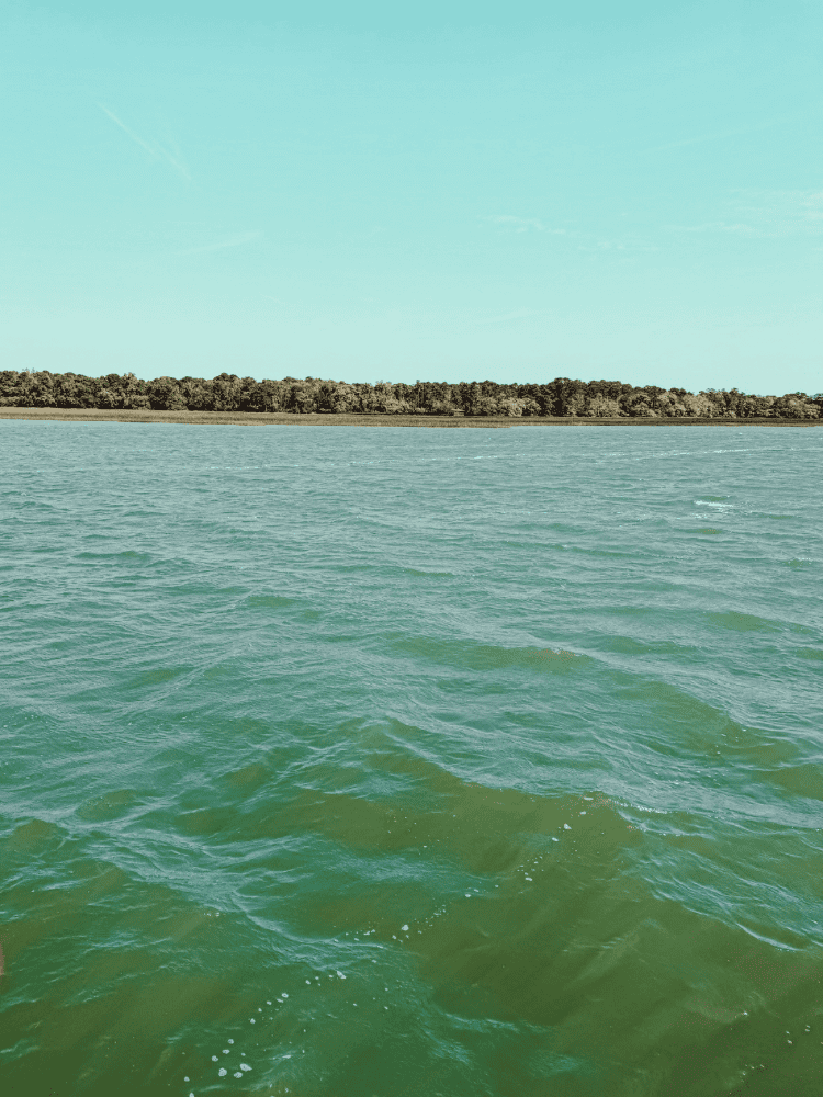 Ocean