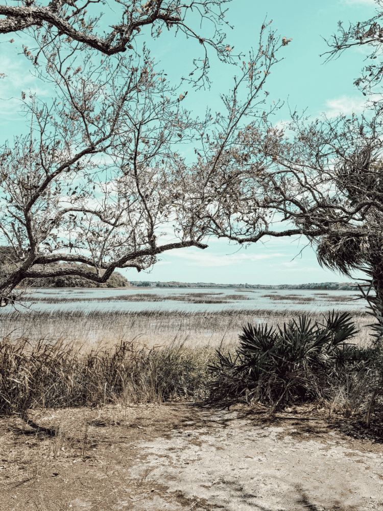 Pickeney Island Views