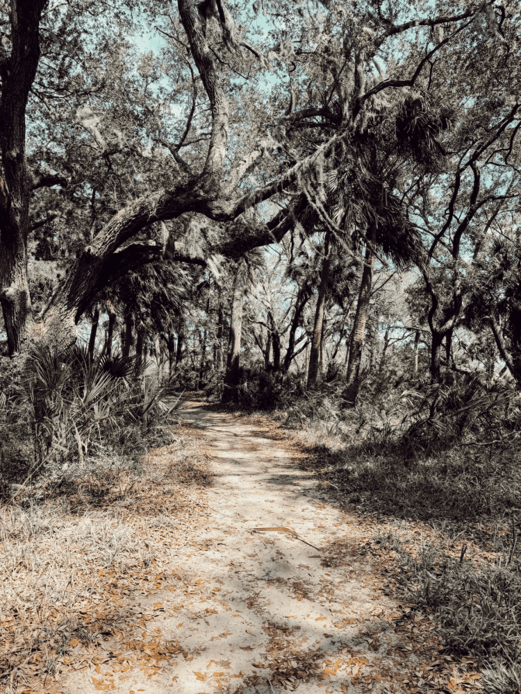 Pickeney Island