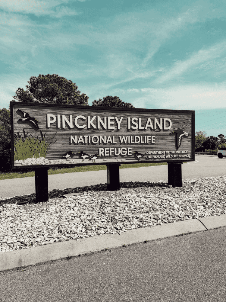 Pinckney Island Wildlife Preserve