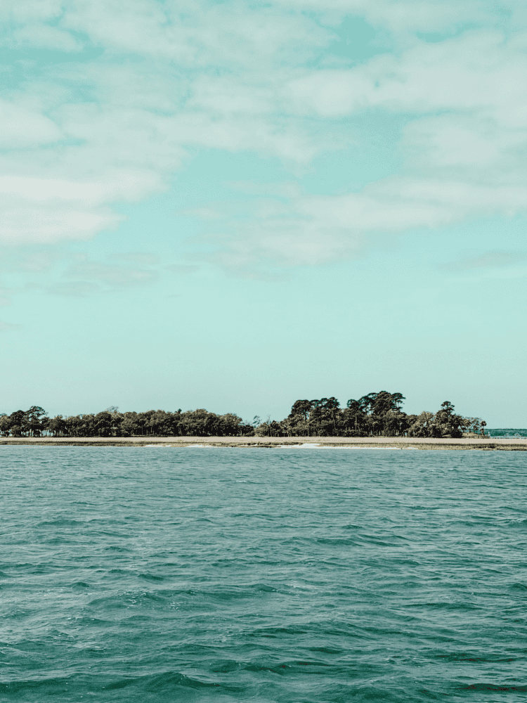 Views from Sailboat
