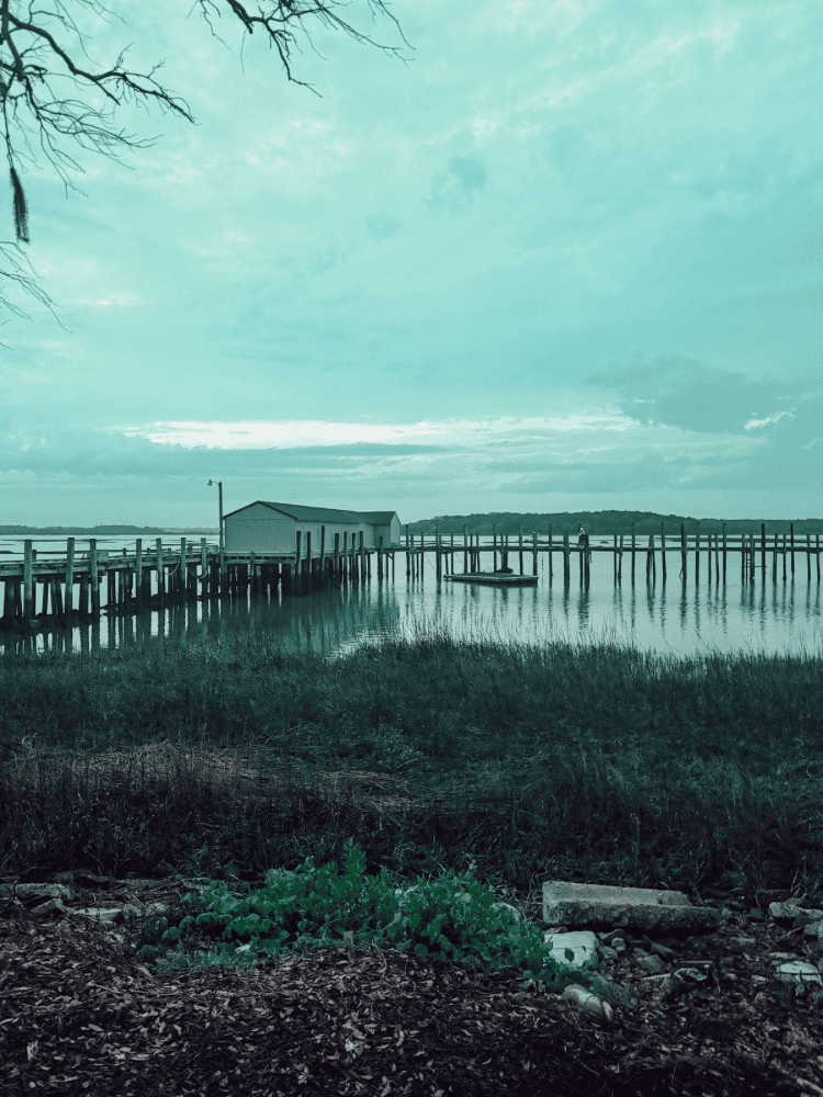 Waterfront View At Benny's