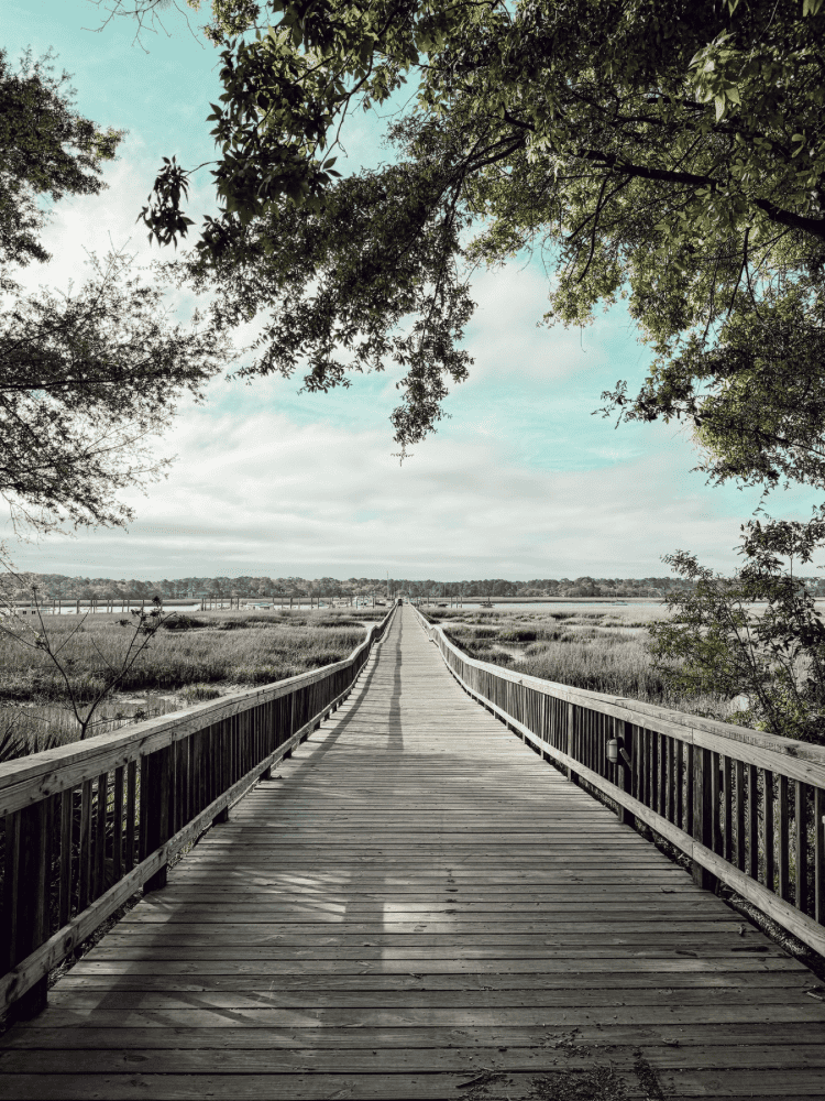 Wooden Pier Views