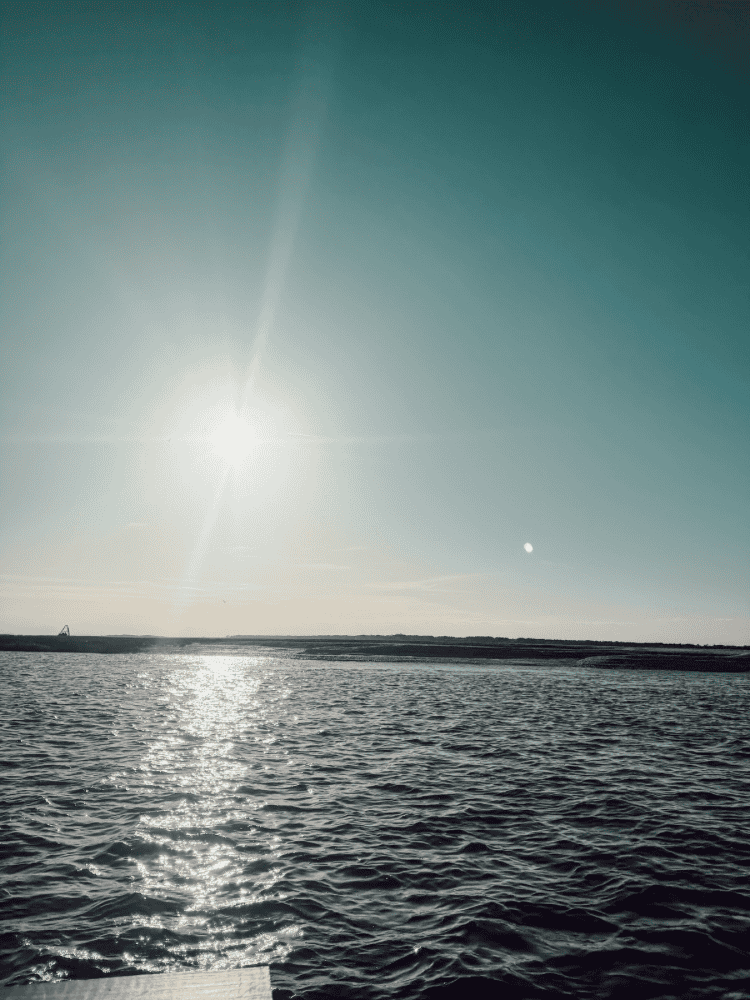 Boat Views