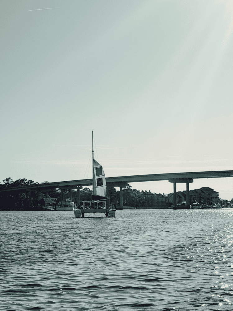 Tiki Boat Views