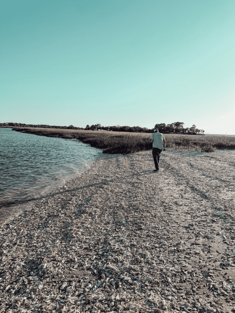 Views of Shell Island