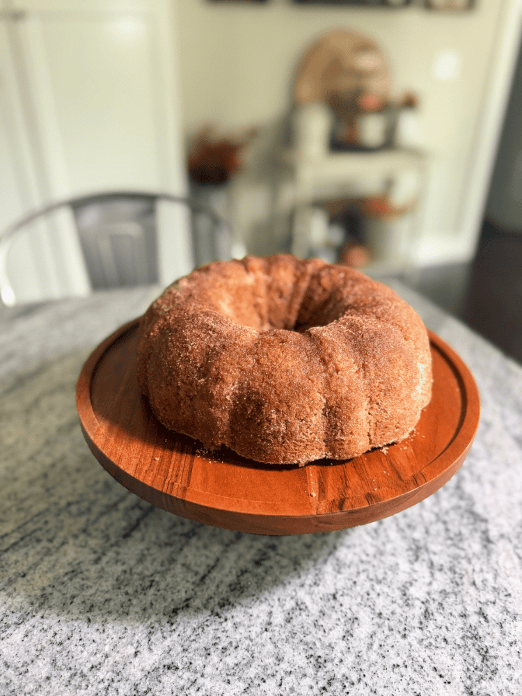 Delicious Apple Cider Cake