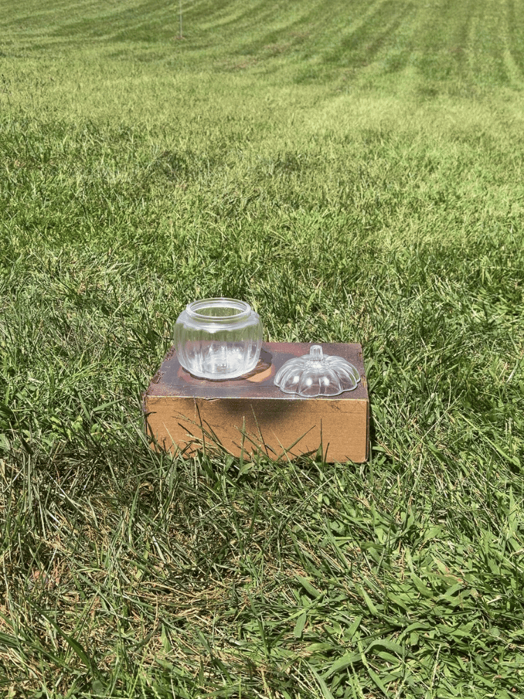 Before Painting Jar