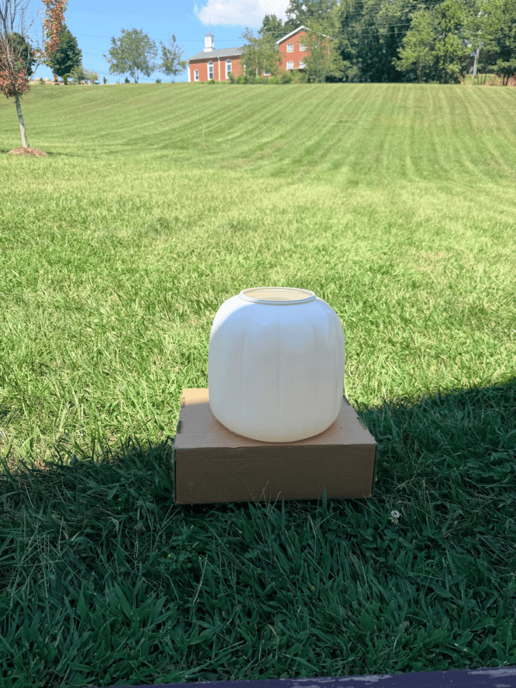 Before Spray Painting Pumpkins