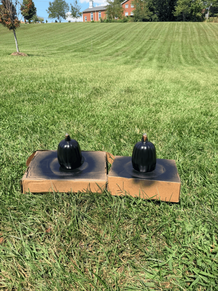 Black Pumpkins