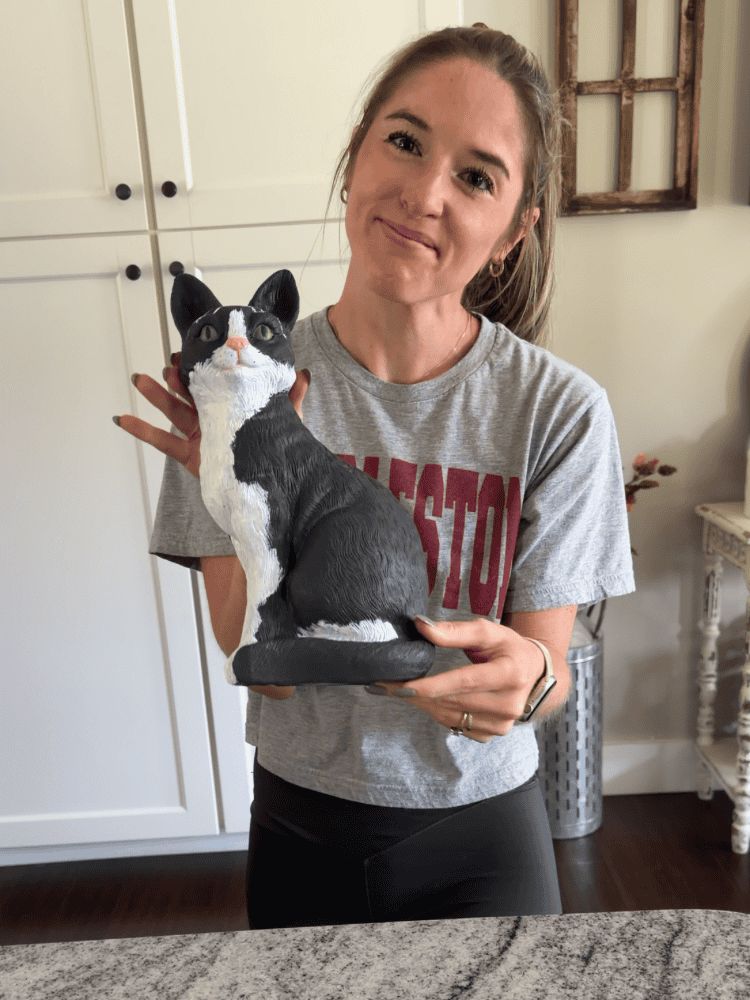 Easy Target Cat Makeover
