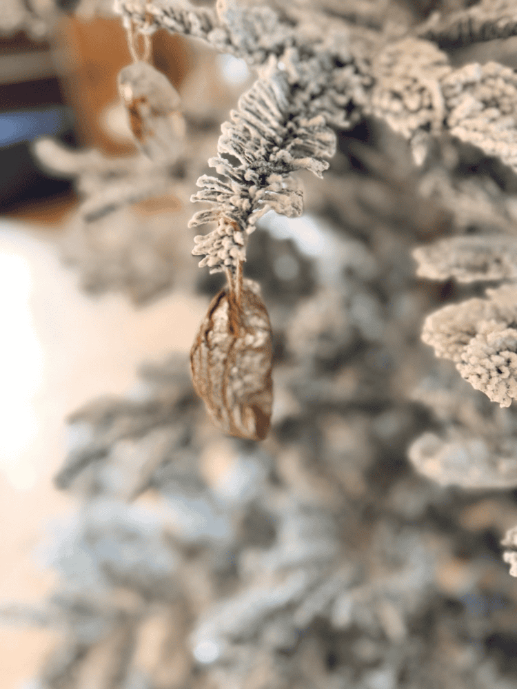 Finished DIY Oyster Shell Ornament