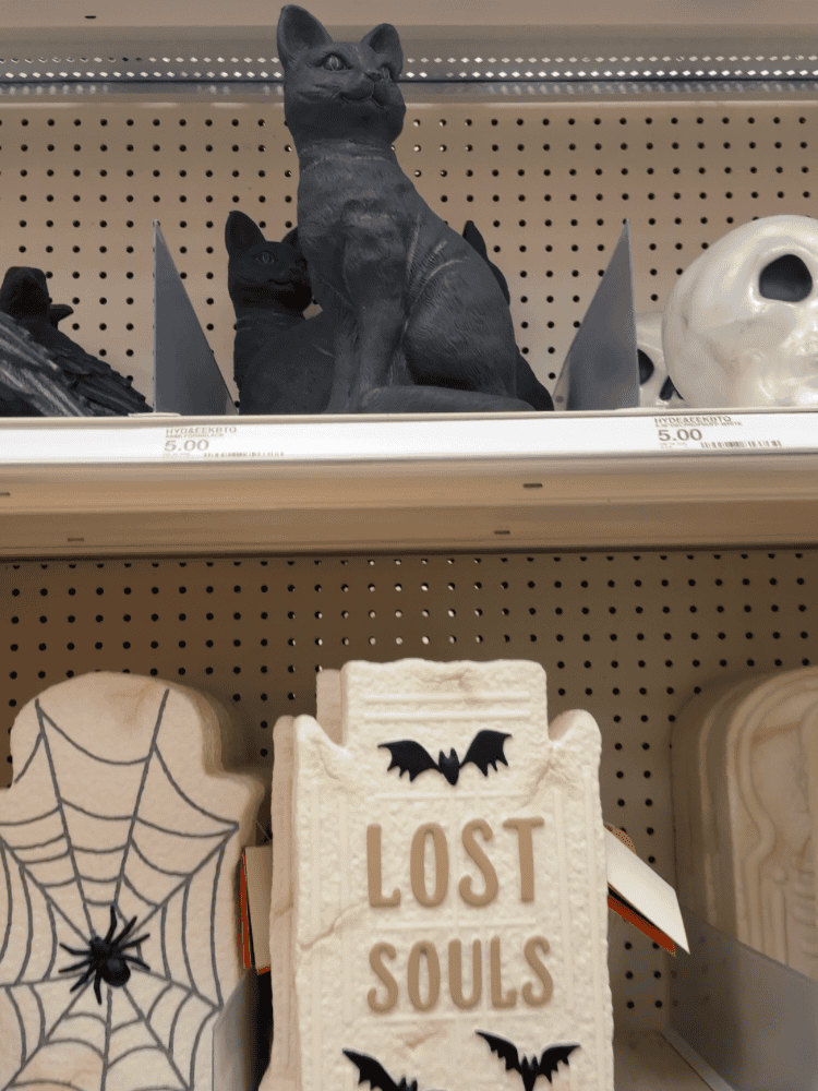 Halloween Cat