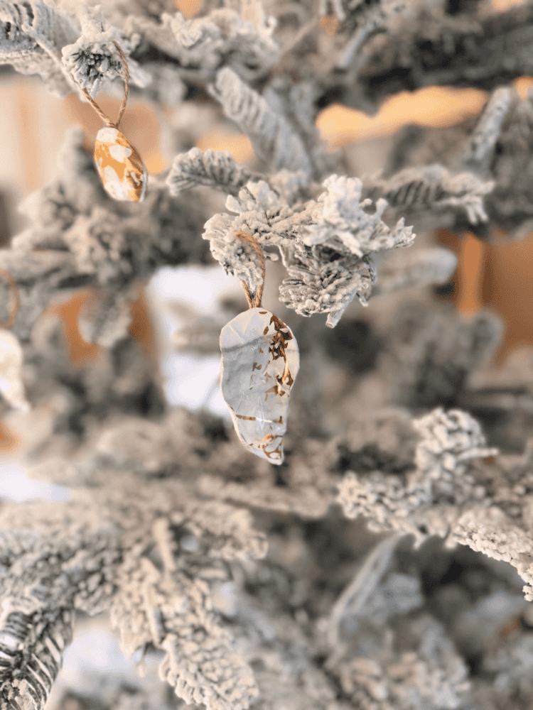 Oyster Shell Ornament