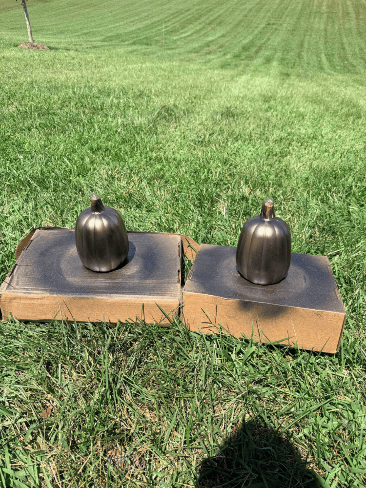 Painting Pumpkins