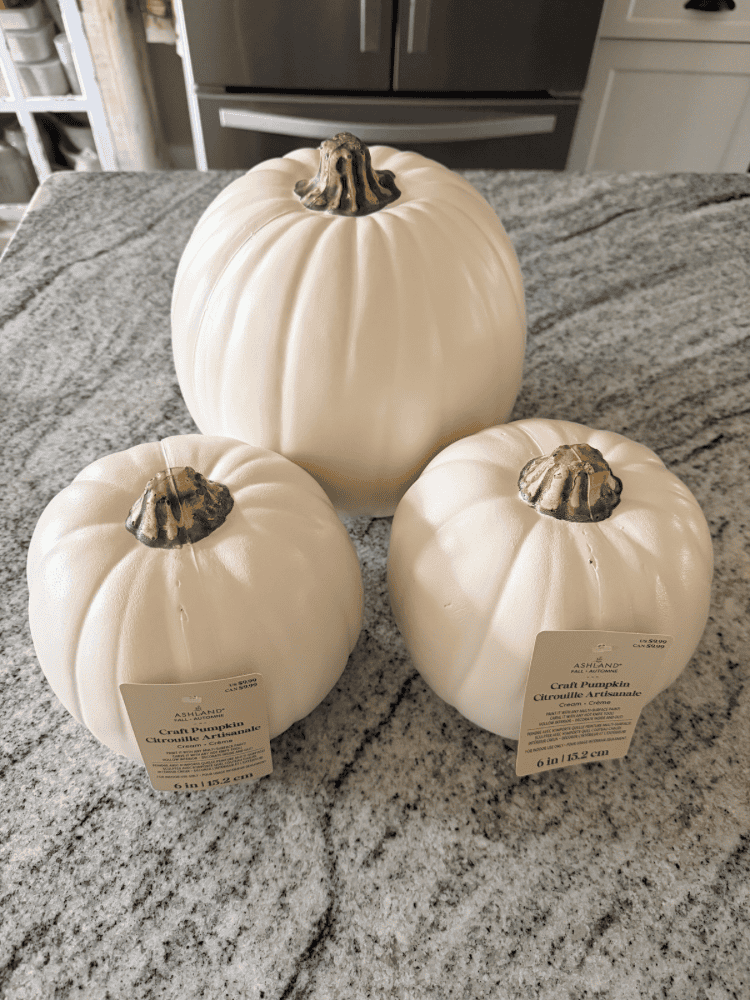 White Craft Pumpkins