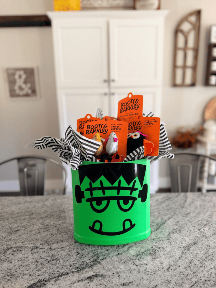 Finished DIY Boo Basket For Cats