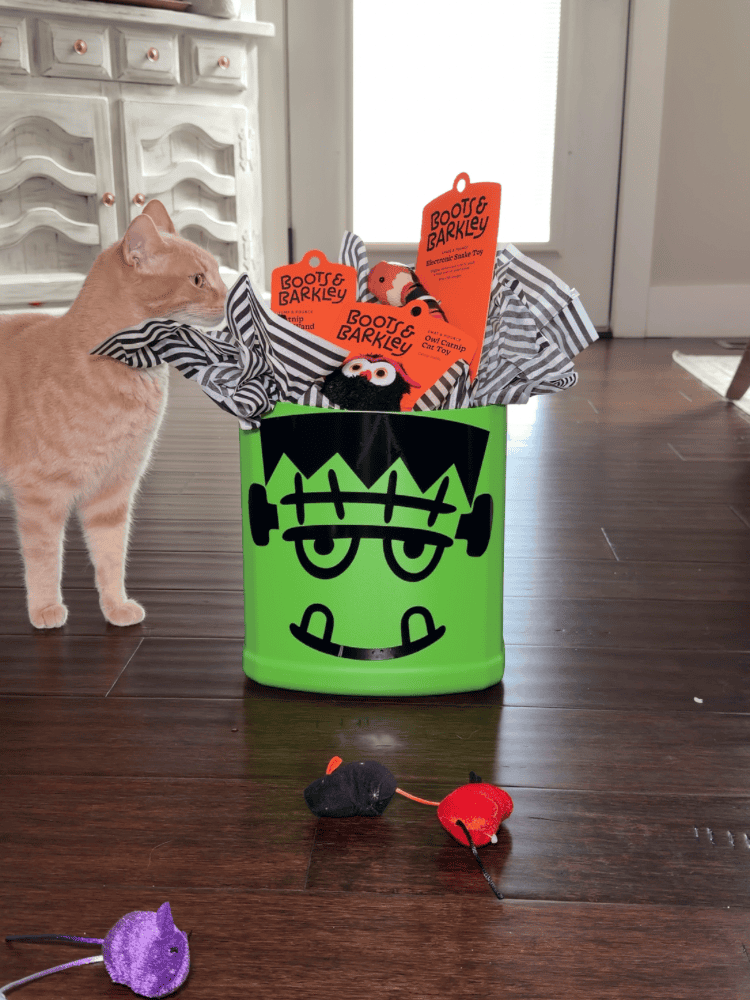 Riley With Her Boo Basket