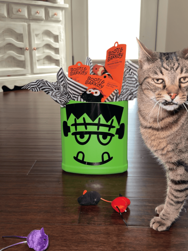 Toby With His Boo Basket